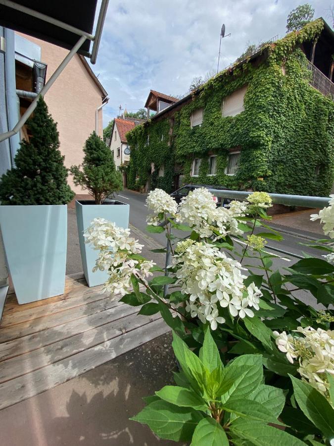 Wunderschoenes Studio Fuer Bis Zu 2 Personen Homburg  Extérieur photo